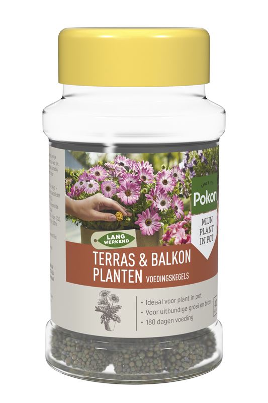 Pokon meststof voor terras-&balkonplanten - kegels - 40 stuks afbeelding