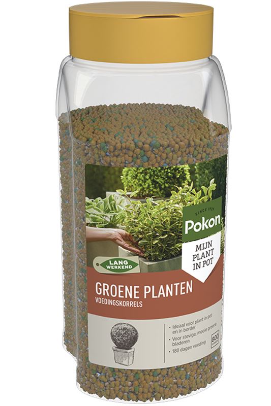 Pokon meststof voor groene planten - 800 g afbeelding