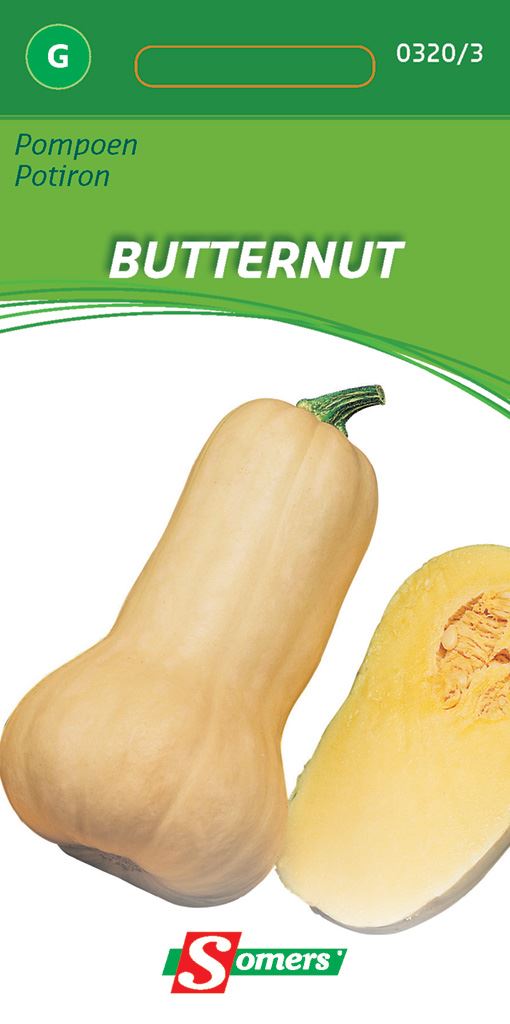 Somers Pompoenen Butternut - Zaadvast pompoen afbeelding