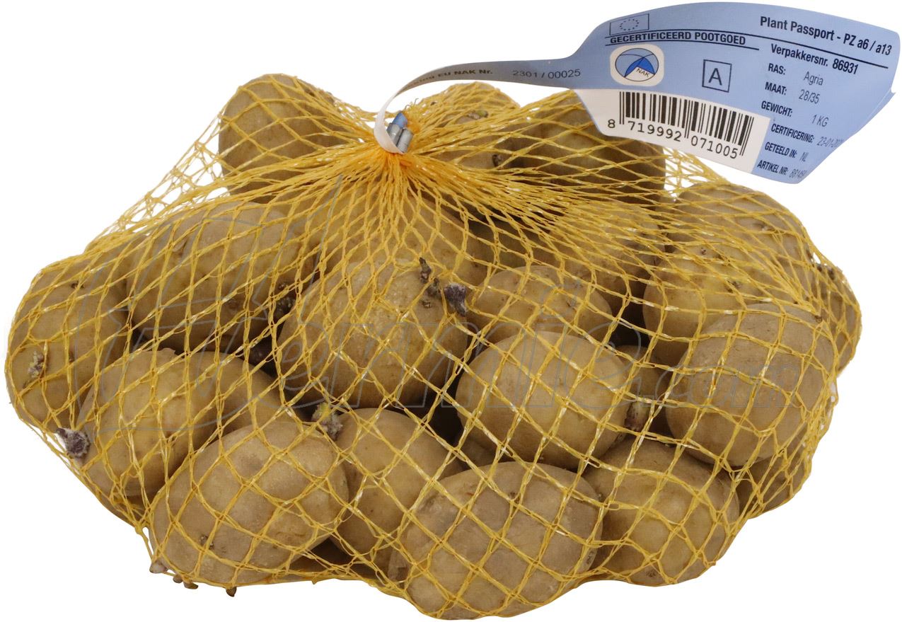 Pootaardappel Agria - zakje 1kg afbeelding