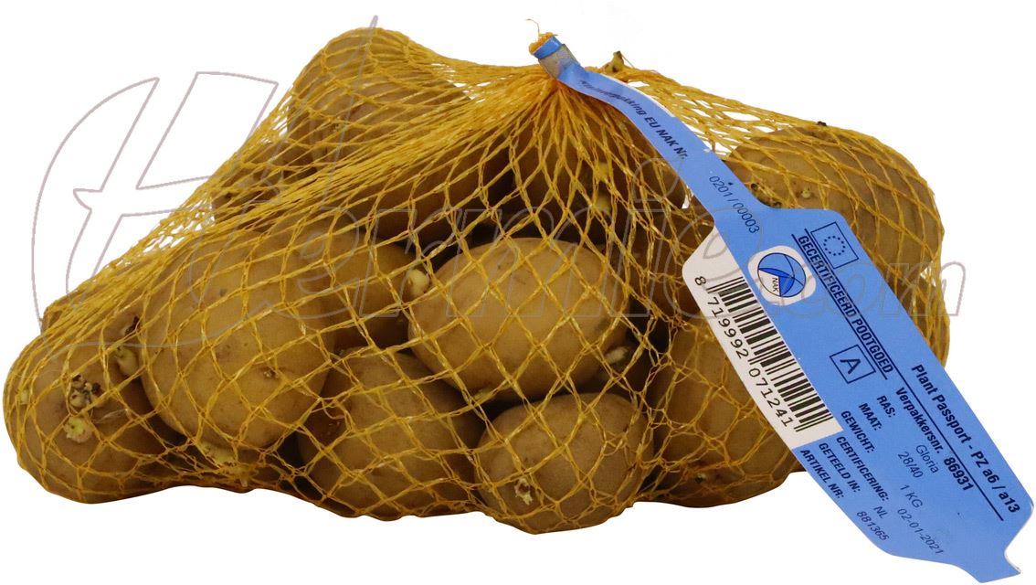 Pootaardappel Gloria - zakje 1kg afbeelding