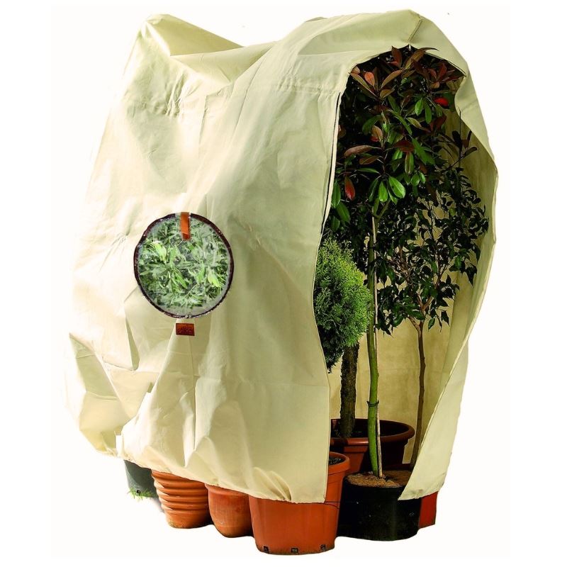 BioGreen Plantenhoes"Jumbo"met kijkvenster - H200 x B240 cm - voor planten totØ 160 cm afbeelding