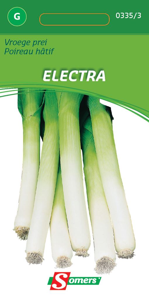Somers Prei Vroege Electra - Zaadvast prei afbeelding