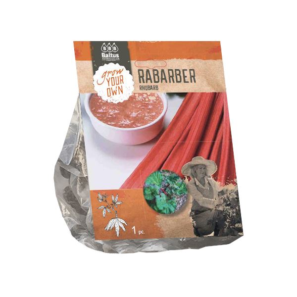 Baltus rabarber om zelf te planten - Moestuin - 1 plant/rabarberstek afbeelding