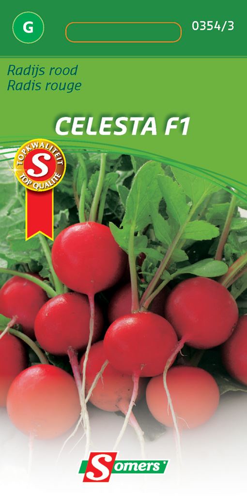 Somers Radijszaden - Rood Celesta F1 - Hybride radijs afbeelding