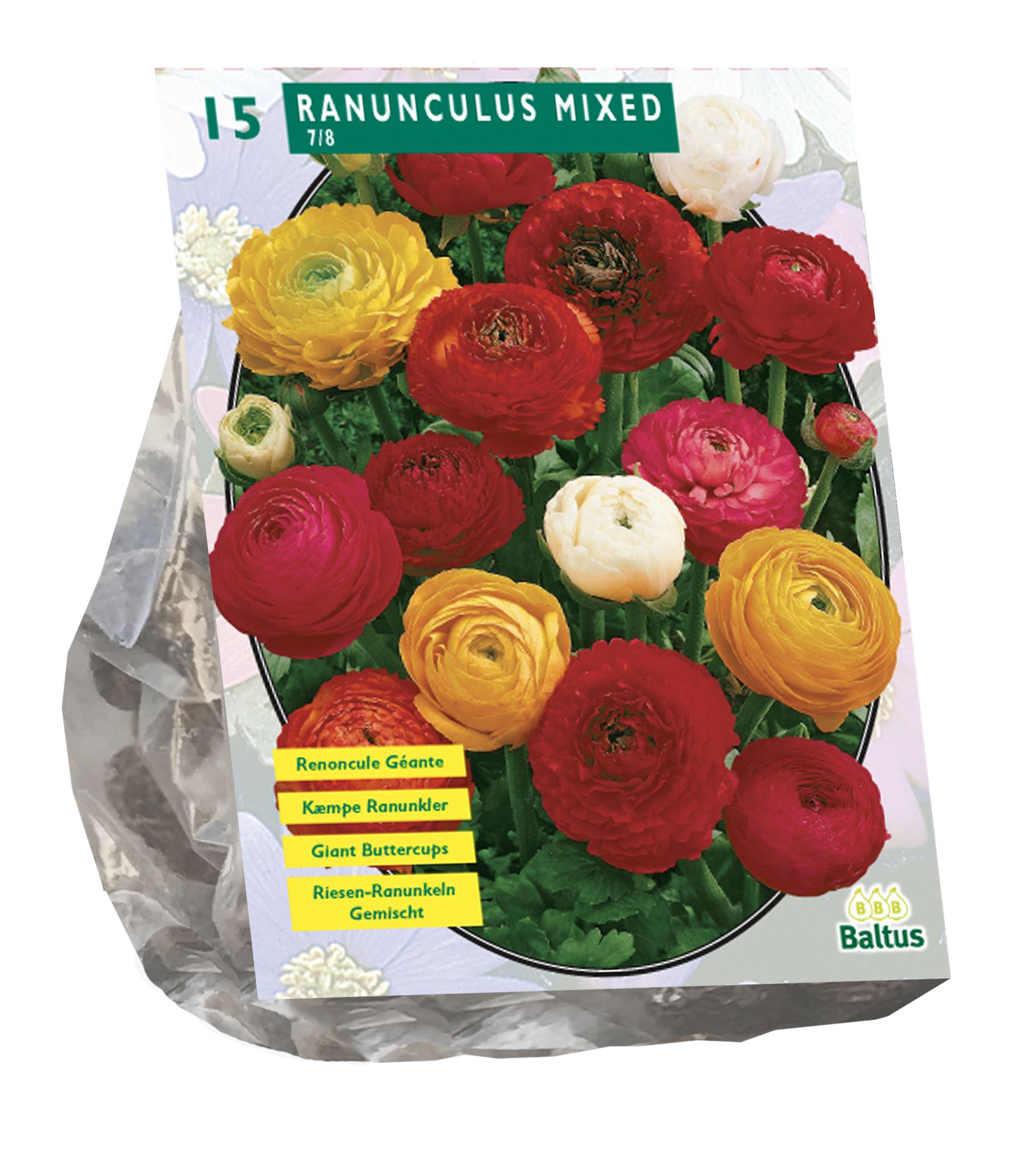 Baltus'Ranonkel'voorjaarsbloeiers - Mix - 15 bollen afbeelding