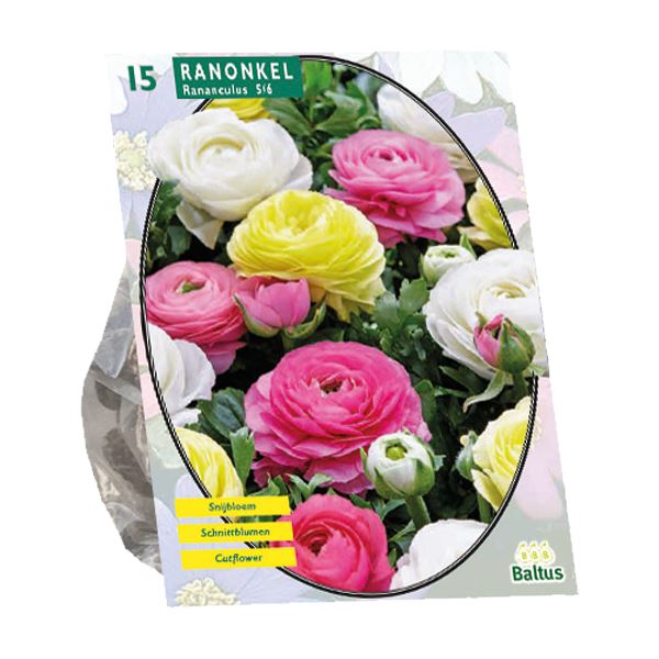 Baltus 'Ranonkel' - Pastel Mix - voorjaarsbloeiers - 15 bollen