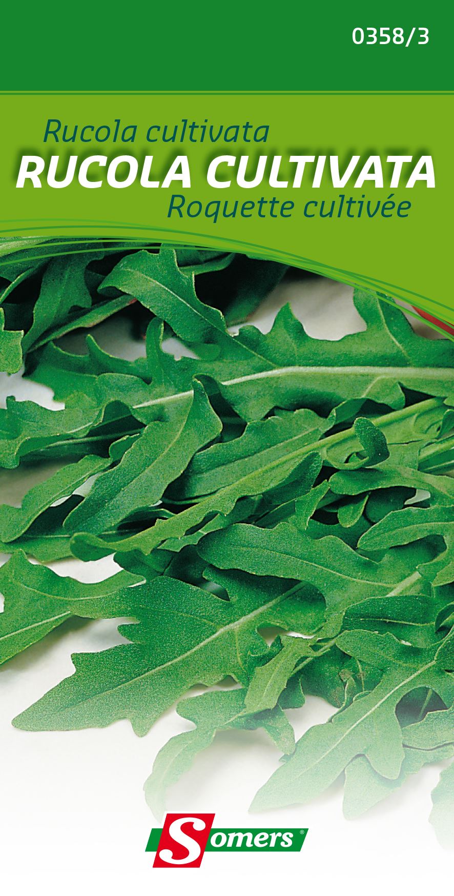 Somers Rucola Cultivata - Zaadvast rucola afbeelding