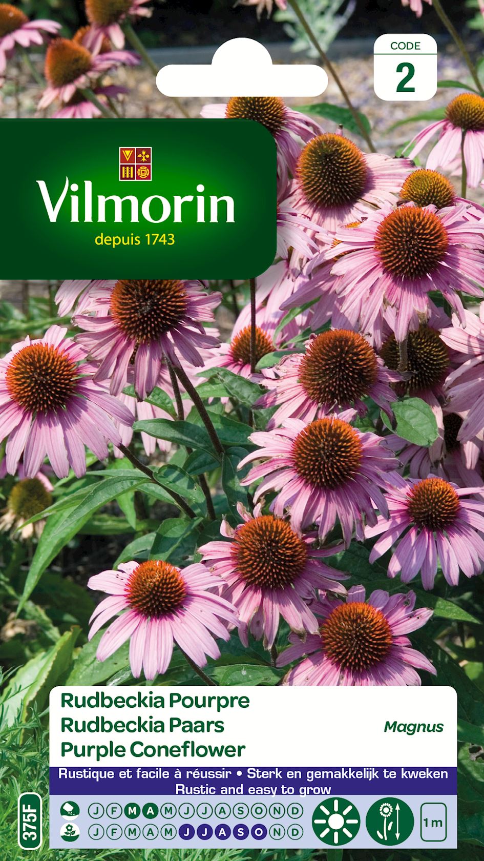 Vilmorin Rudbeckia Paars zaden - Magnus afbeelding