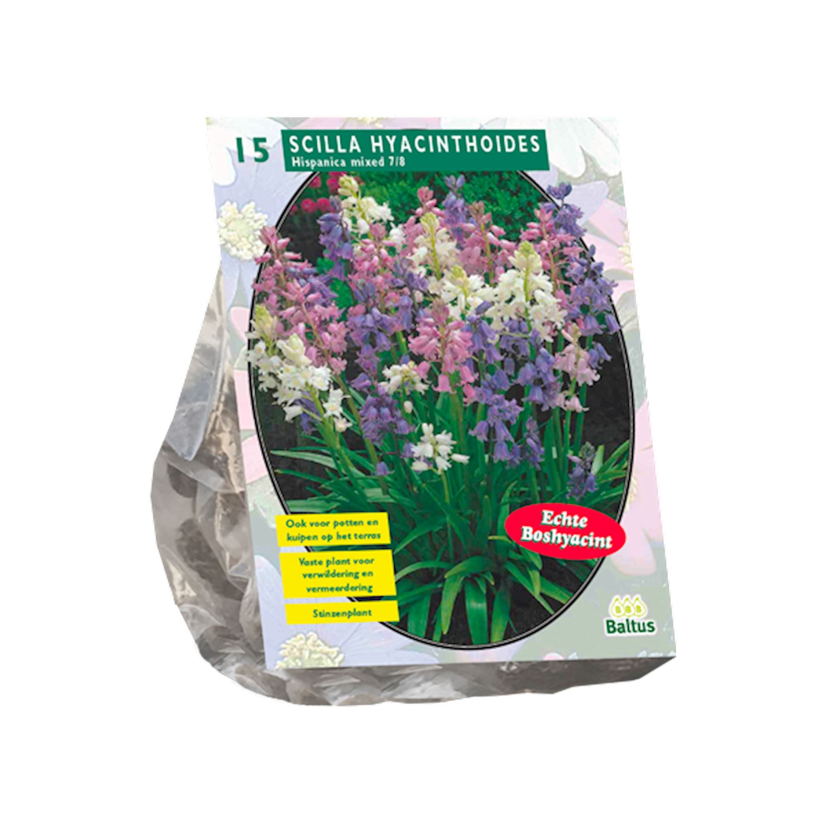 Baltus Scilla Hispanica Mix - Sterhyacint - 15 stuks
