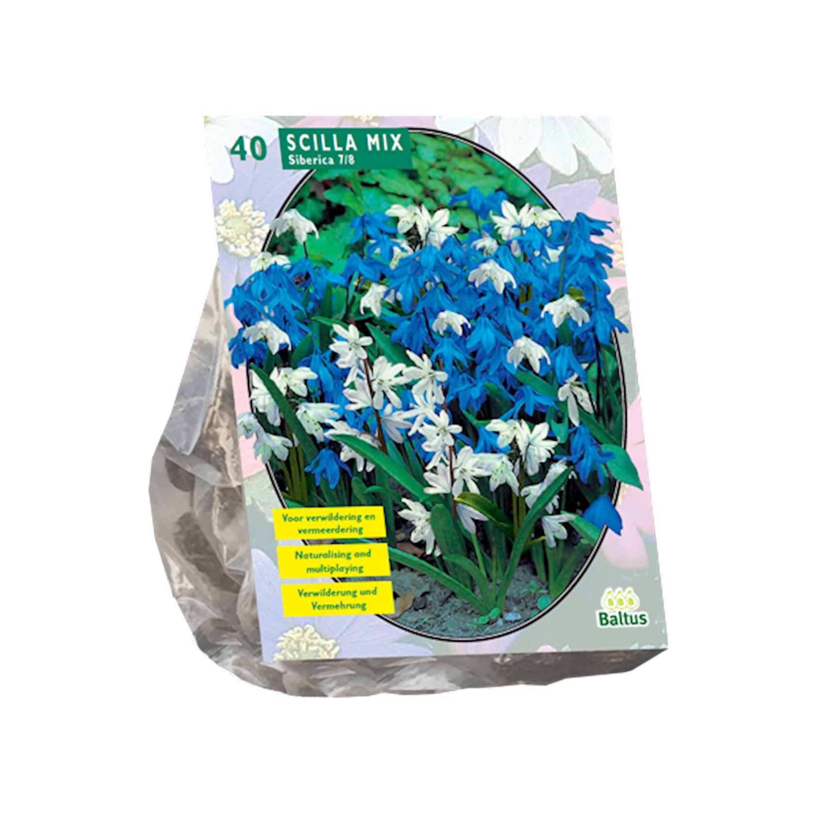 Baltus 'Scilla Sibericaed' - Mix - voorjaarsbloeiers - 40 bollen