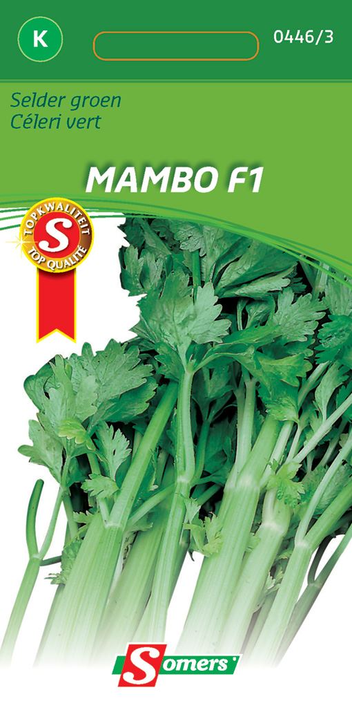 Somers Selder Groene Mambo F1 - Hybride selderij afbeelding