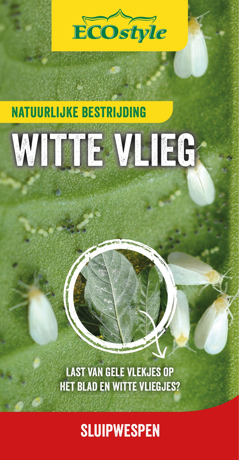 ECOstyle - 500 sluipwespen tegen wittevlieg afbeelding