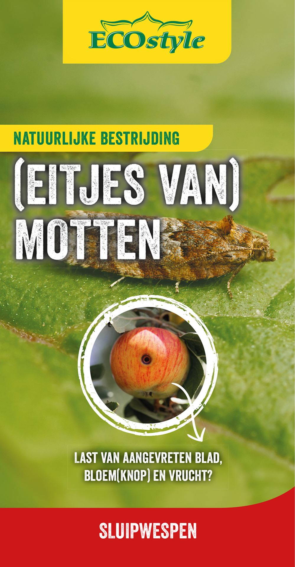 ECOstyle - 2000 sluipwespen tegen eitjes van motten afbeelding