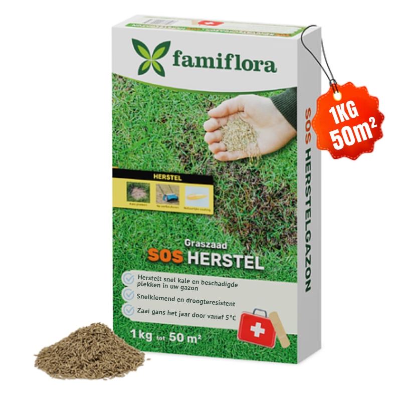 Famiflora graszaad 1kg tot 50m² - SOS herstelgazon - snel herstel kale plekken afbeelding