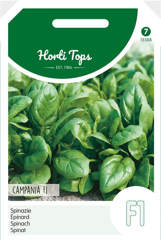 Horti Tops Spinazie zaden - Campania F1 - 50g afbeelding