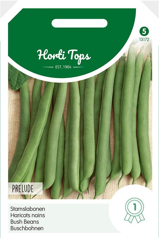 Horti Tops Lage Stamslabonen zaden - Prelude zonder draad - 100g afbeelding