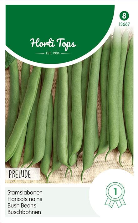 Horti Tops Stamslabonen zaden - Prelude - 250g afbeelding