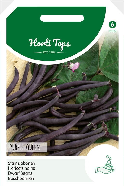 Horti Tops Stamslabonen zaden - Purple Queen - 100g afbeelding