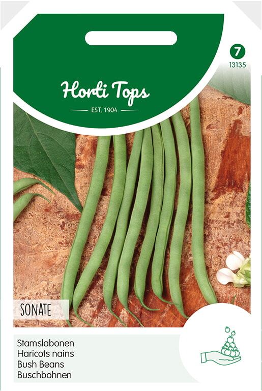 Horti Tops Stamslabonen zaden - Sonate - 50g afbeelding