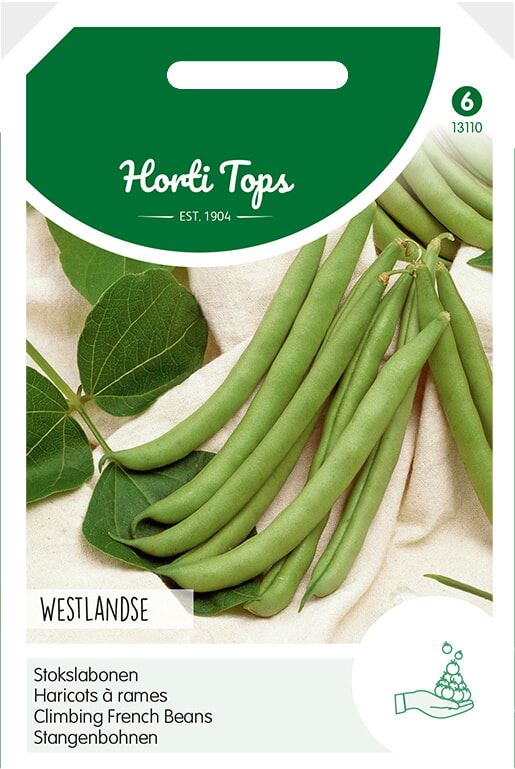 Horti Tops Stokslabonen zaden - Westlandse Dubbele zonder draad afbeelding