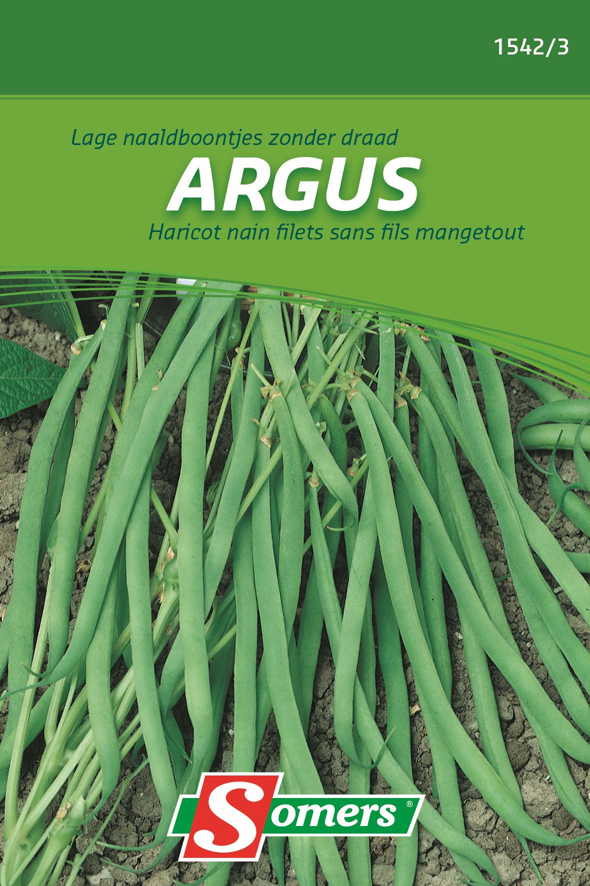 Somers Lage Naaldboontjeszaden - Zonder Draad Argus 90G - Zaadvast lage struikbonen afbeelding