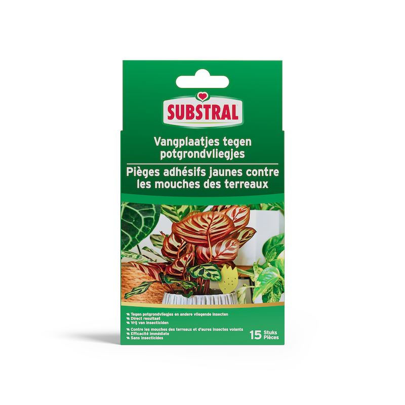 Substral Vangplaatjes - 15 stuks - tegen potgrondvliegjes afbeelding