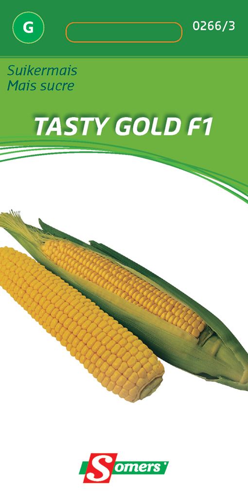 Somers Suikermaiszaden - Tasty Gold F1 - Hybride maïs afbeelding