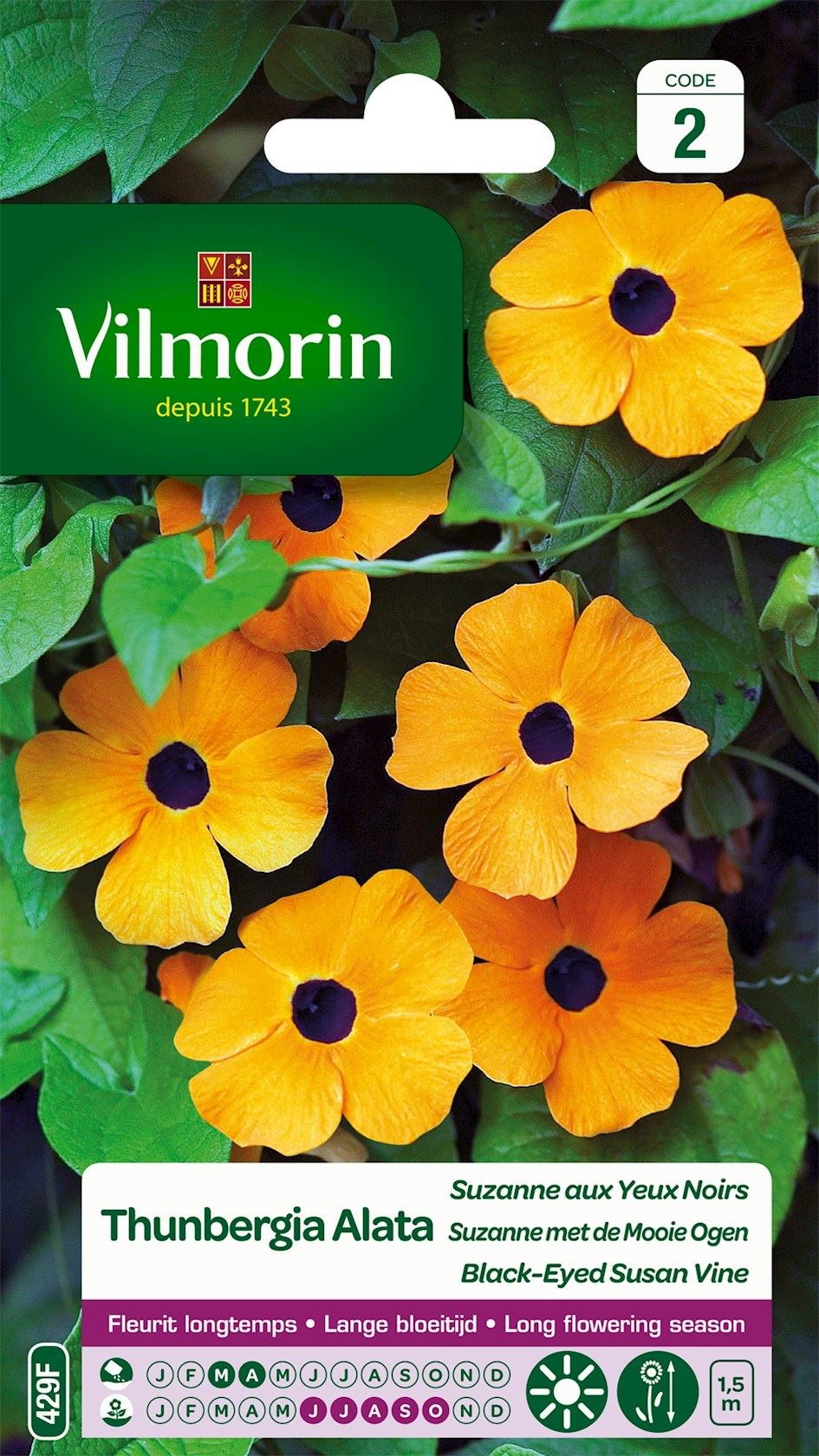 Vilmorin Suzanne-Met-De-Mooie-Ogen zaden - Thunberia Alata afbeelding