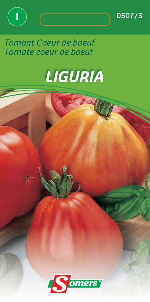 Somers Tomaatzaden -Coeur De Boeuf Liguria - Zaadvast tomaat afbeelding