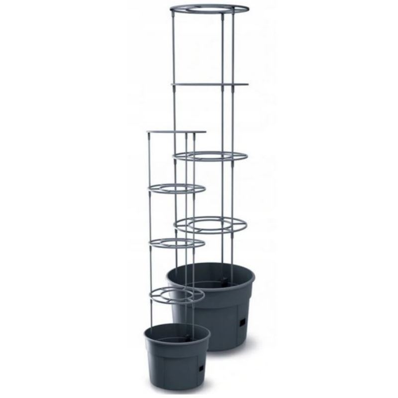 Prosperplast Tomato Grower - 50 x 42 cm - Voor het kweken van tomaten - Inclusief tomaten plantsteunen afbeelding