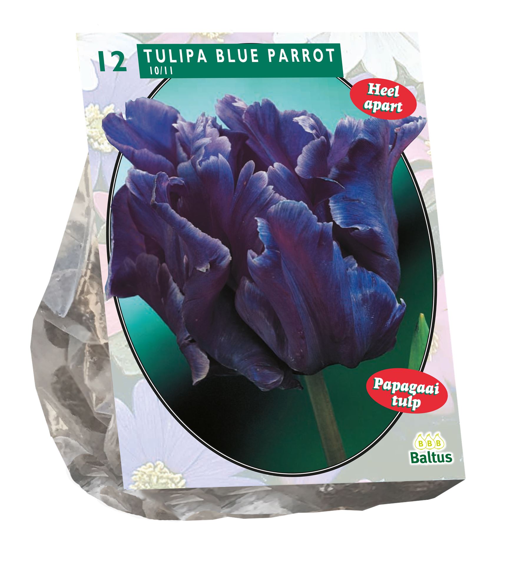 Baltus 'Tulipa Blue Parrot' - voorjaarsbloeiers - Parkiet - 12 bollen