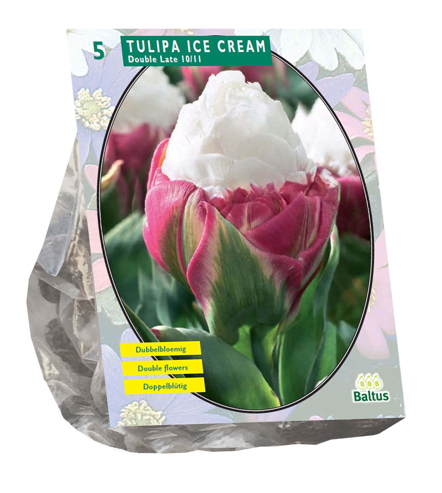 Baltus 'Tulipa Ice Cream' - voorjaarsbloeiers - 5 bollen