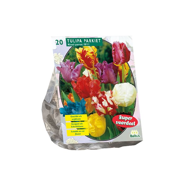 Baltus Tulipa Parkiet Mix - Papegaaitulpen - 10 stuks