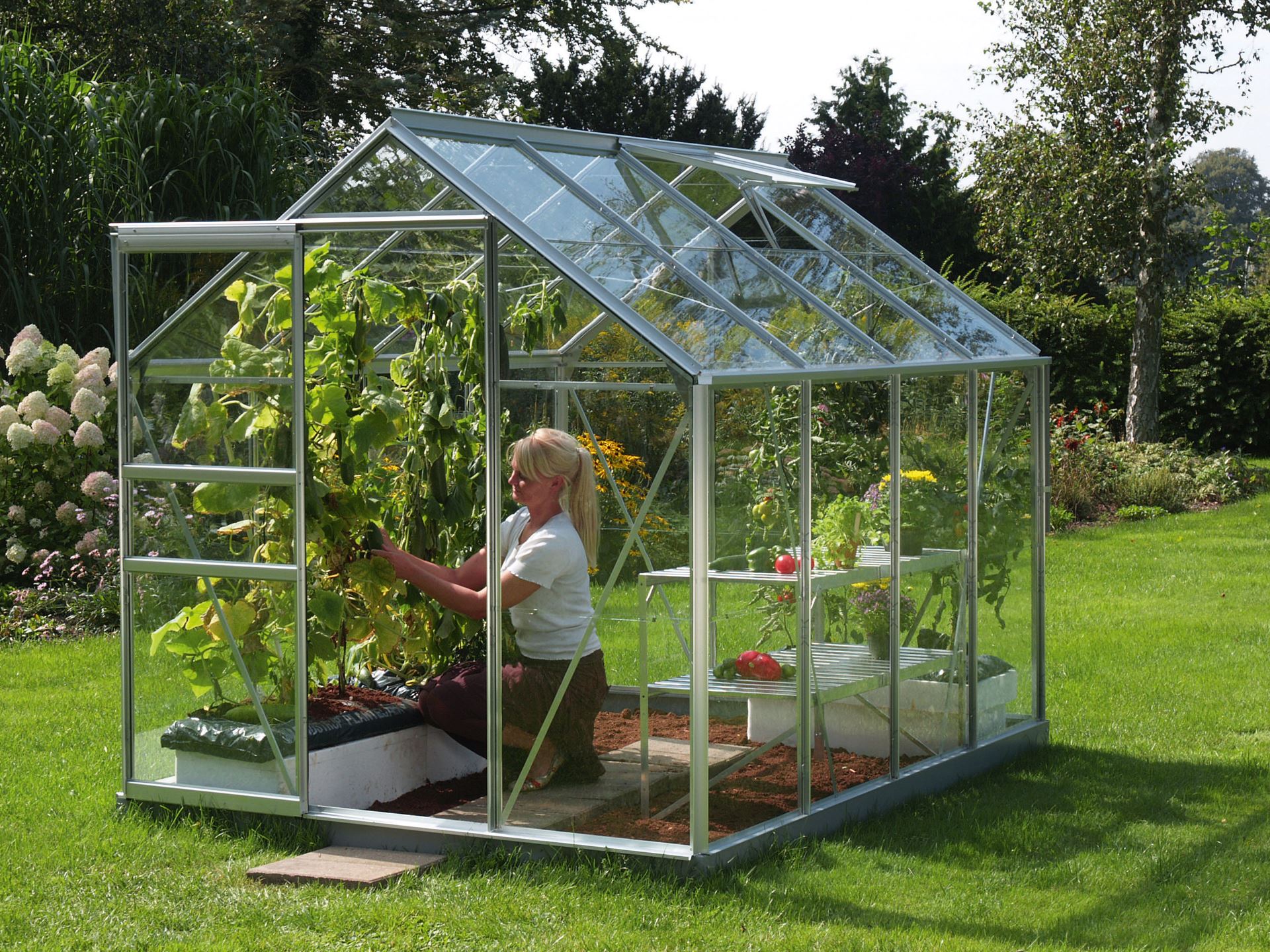 Vitavia Venus serre - 5m² - Aluminium afbeelding