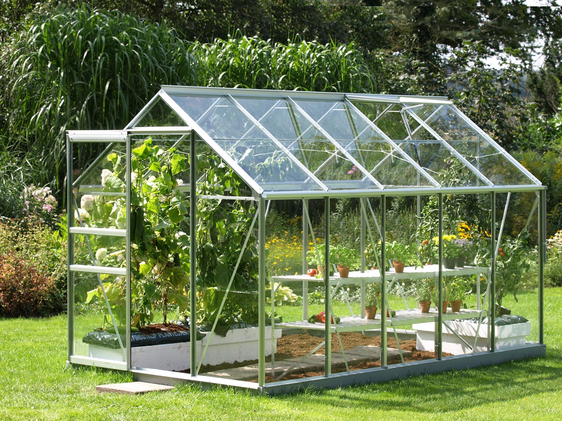 Vitavia Venus serre - 6,2m² - Aluminium afbeelding