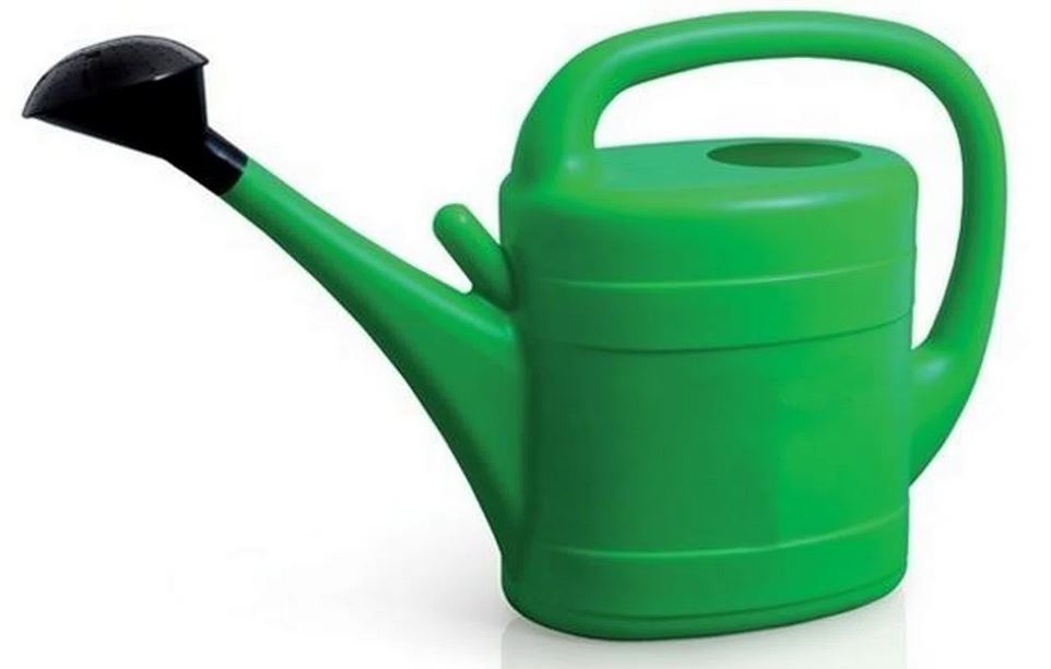 Prosperplast Spring 3L - Gieter - Groen - Compact - Afneembare Broeskop - Lichtgewicht - Tuingieter afbeelding