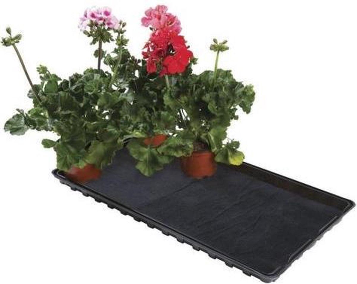 ACD Watertray voor het opkweken van planten - 56x31x3cm afbeelding