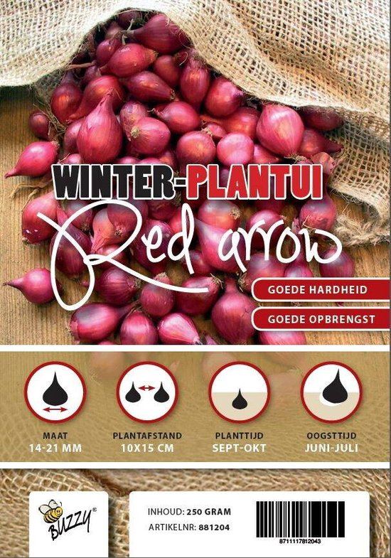 Winter plantajuin Red Arrow - rode plantui - netje 250g afbeelding