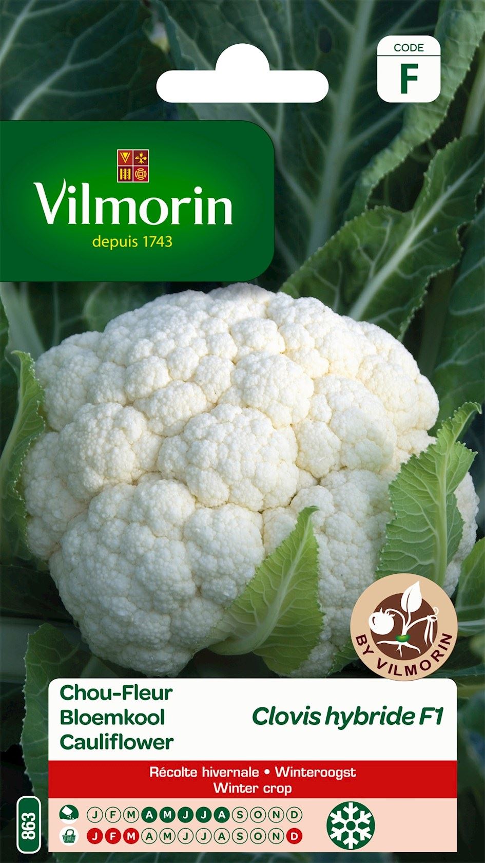 Vilmorin Winterbloemkool zaden - Clovis HF1 afbeelding