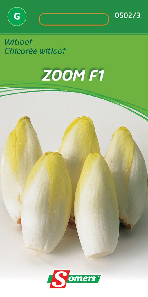 Somers Witloof Zoom F1 - Hybride witloof afbeelding