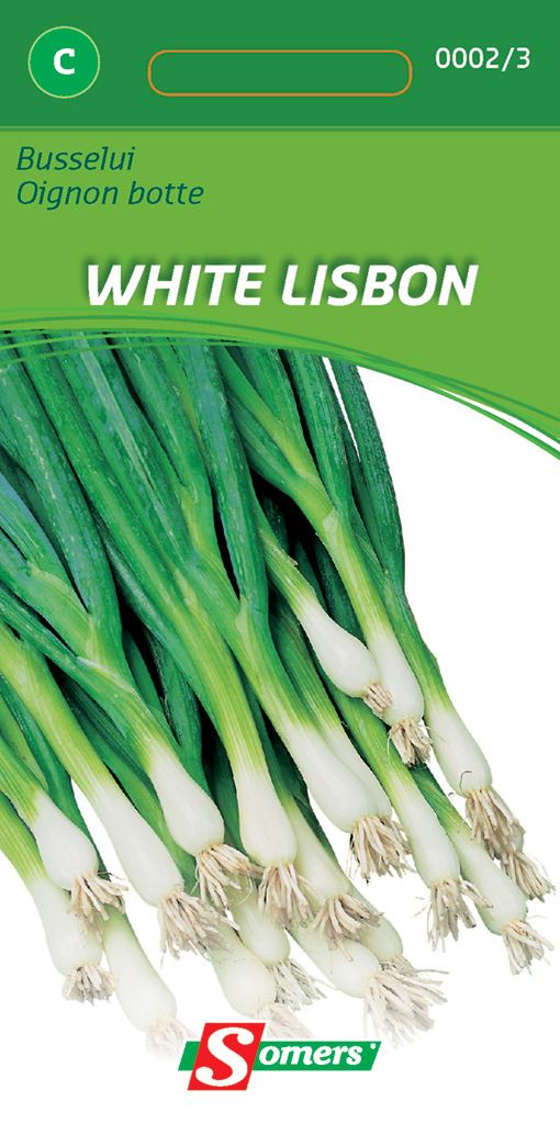Somers Busseluizaden - White Lisbon - Zaadvast ui afbeelding