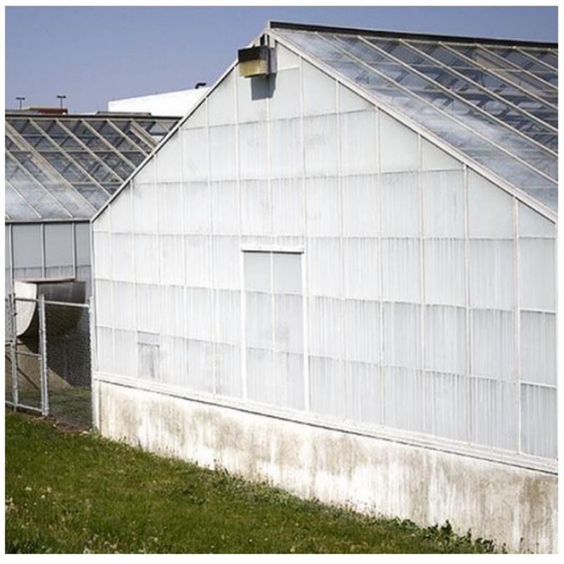 Witvast regenbestendig schermmiddel voor serreglas - emmer 5kg - 200m² afbeelding