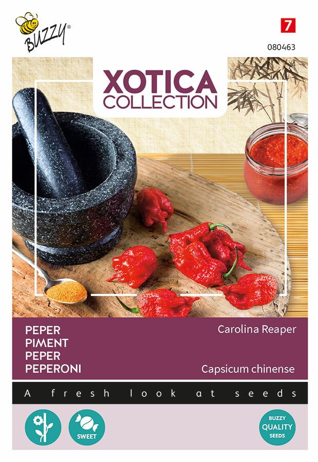 Buzzy - bloemzaden - Xotica peper Carolina Reaper - Groentenzaden - Ca. 10 zaden