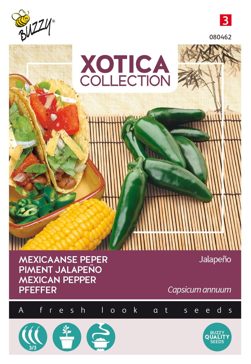 Buzzy® Xotica Peper zaden - Jalapeño afbeelding