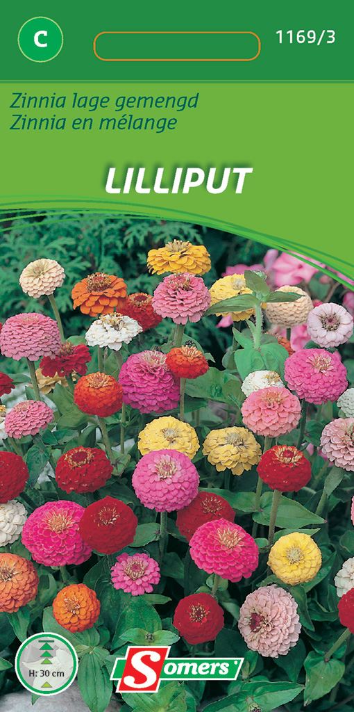Somers Zinnia Lage Gemengd Lilliput afbeelding