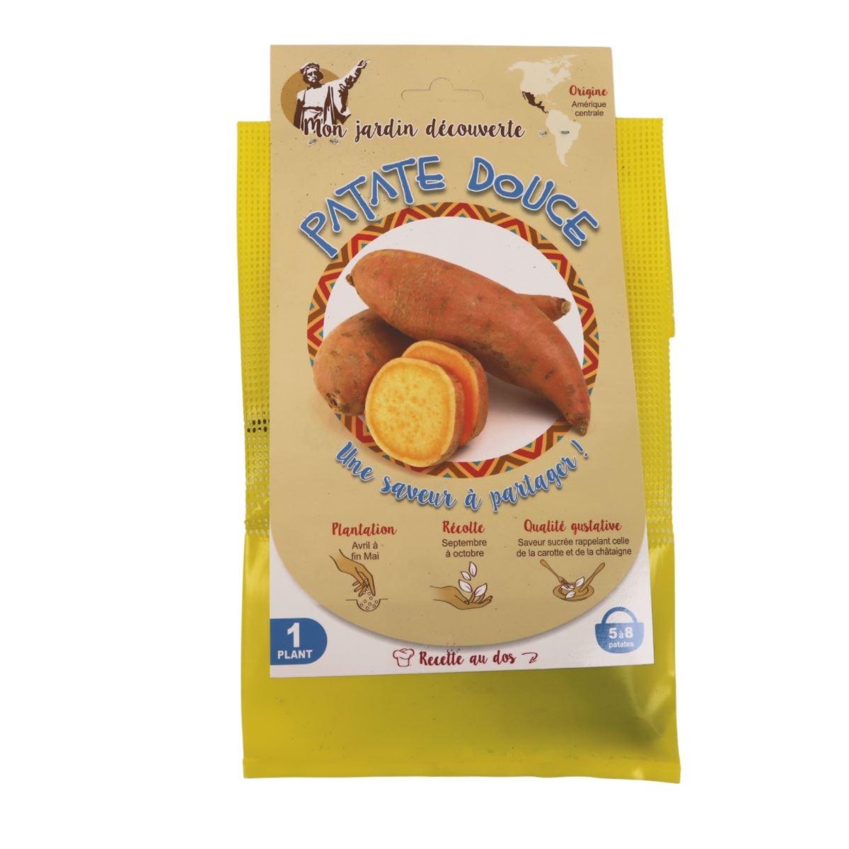 Debaere zoete aardappel - 1 knol afbeelding