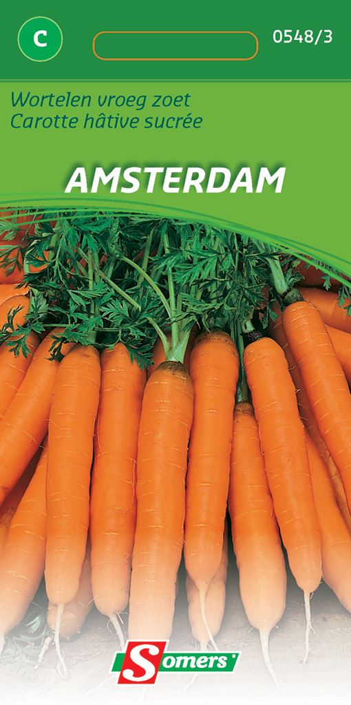 Somers Wortelen Vroeg Zoet Amsterdam - Zaadvast wortel afbeelding